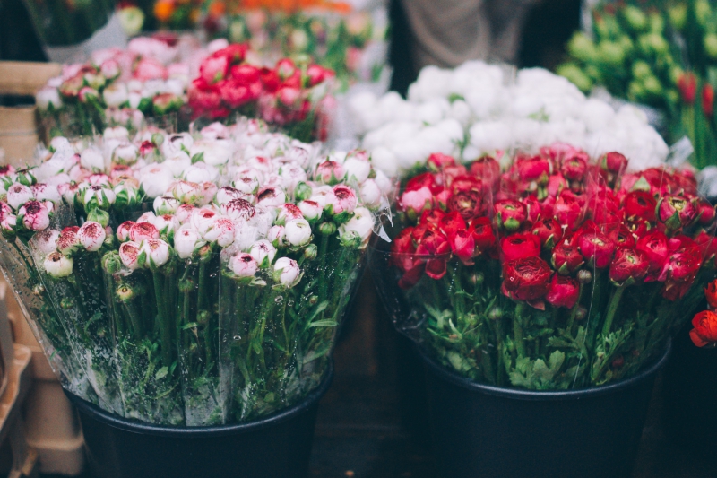 fleuriste-MONS-min_farmers-market-1209712